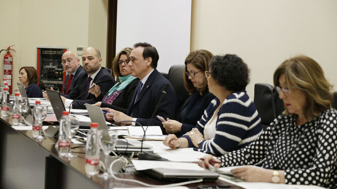 El rector de la UCO, José Carlos Gómez Villamandos, en el centro, ayer en el consejo de gobierno.