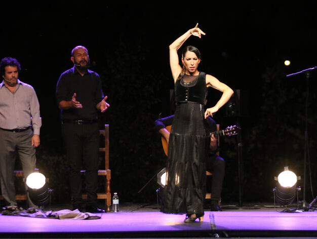 Las im&aacute;genes de la X Noche Blanca del Flamenco