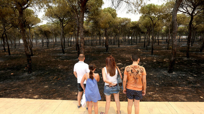 Una familia observa los efectos del fuego en el pinar situado ante el hotel Mazagón, al final de la Avenida de los Conquistadores.