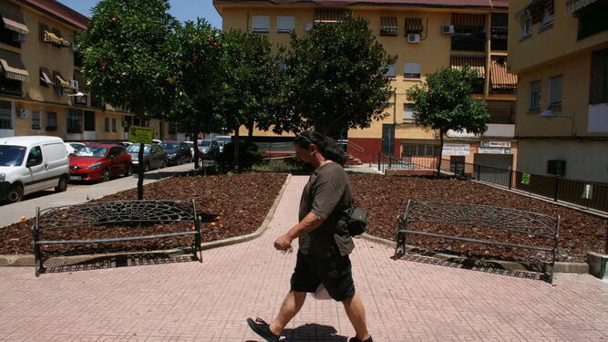 Un vecino pasea por una de las zonas taladas, los jardines ubicados en la calle Santa Cecilia.