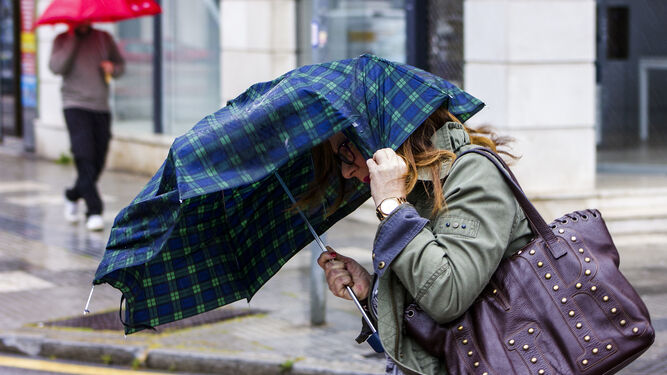 Una mujer se protege con un paraguas en Málaga