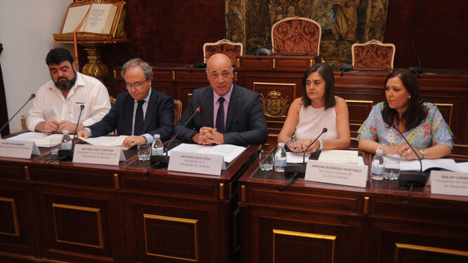 Palomares, Díaz, Ruiz, Borrego y Carrillo, en la Diputación.