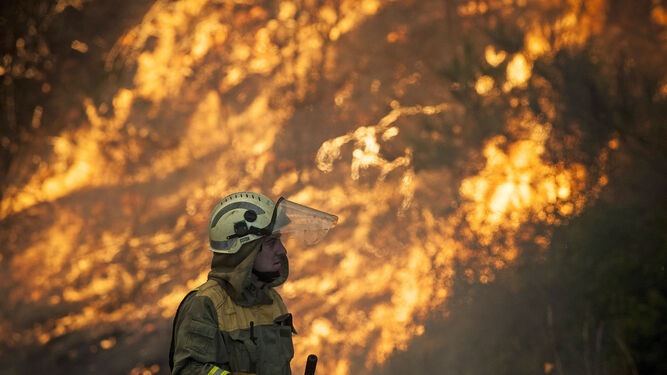 Un bombero trabaja en las labores de extinción de un fuego en la localidad orensana de Monterrei.