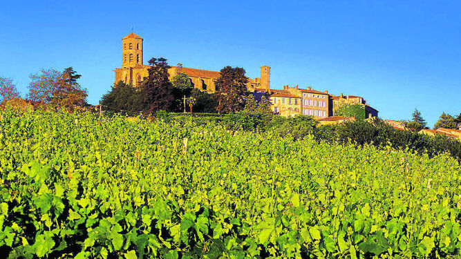 El clero salvaguardó el viñedo en la Edad Media.