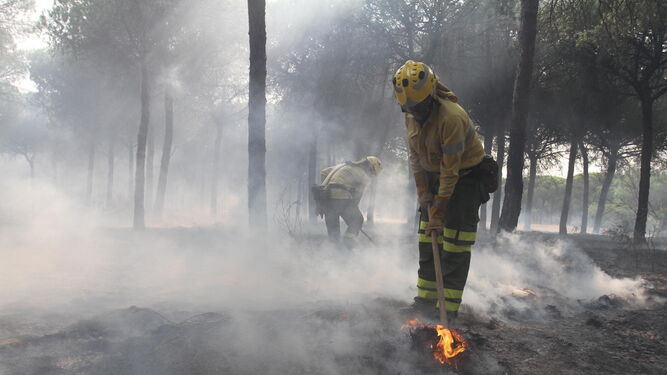 Bomberos durante las labores de extinción en el incendio de Moguer, en junio pasado.