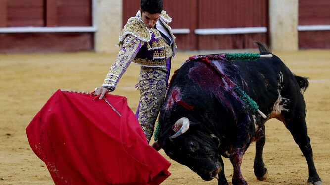 Cayetano, en un muletazo, en la faena a su primer toro en La Malagueta.