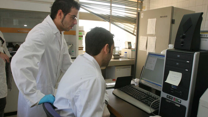 Investigadores de la UCO en un laboratorio durante un ensayo.