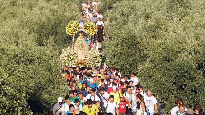 La Virgen de la Sierra procesiona por un olivar.