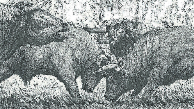 Una pelea de toros, en uno de los dibujos de la exposición
