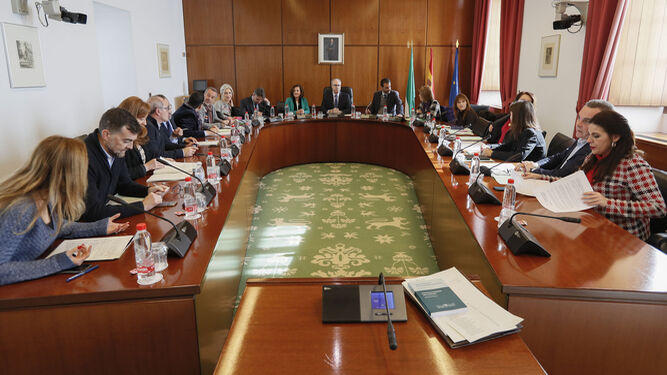 La reunión de la Diputación Permanente celebrada ayer en el Parlamento con la presencia de María José Sánchez Rubio.