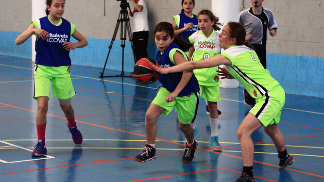 Imagen de un partido de baloncesto femenino en la Copa Covap.