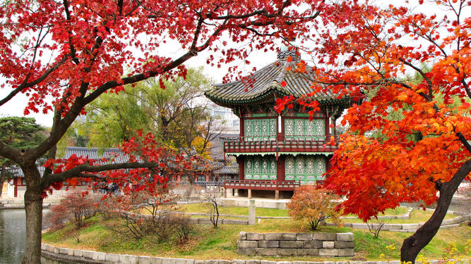 Un rincón de uno de los jardines del palacio de Gyeongbokgung.