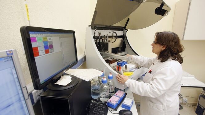 Una investigadora de la UCO durante un ensayo en un laboratorio.