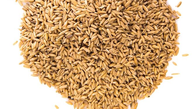 Los cereales integrales, un aliado para el sistema inmunitario