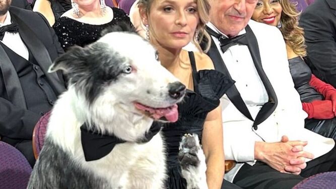 El perro Messi y su adiestradora en la grabación de la gala de los Óscar