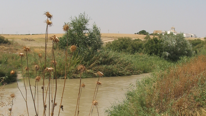 Cauce del río Genil en la zona donde se prevé ubicar la nueva presa.