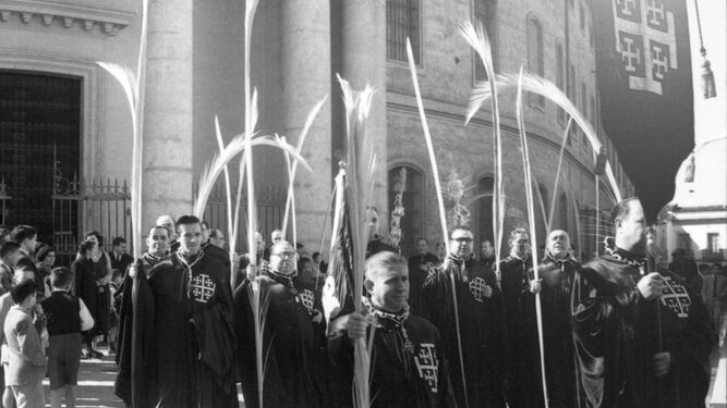 Antiguos Caballeros de la hermandad en la procesión de las palmas de la parroquia de la Compañía, en los años 50.