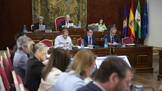 Un momento de la sesión plenaria de la Diputación de Córdoba.