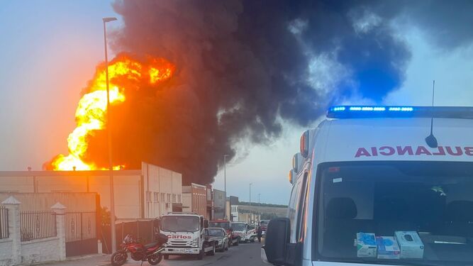 Extinguido el gran incendio que ha arrasado una fábrica de aceite de Lucena