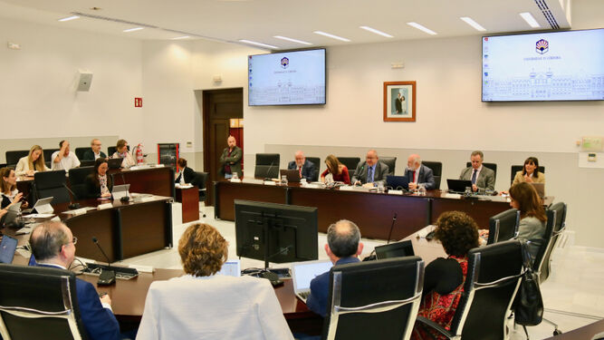 Un momento del consejo de gobierno de la Universidad de Córdoba.