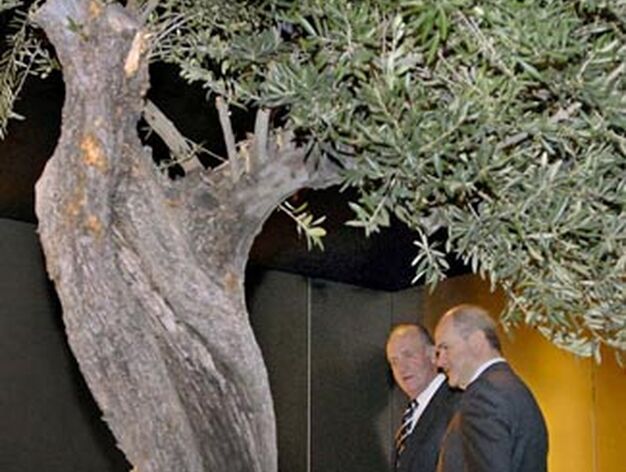 El Rey inaugura 'Tierras de olivo'