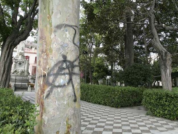 El vandalismo provoca da&ntilde;os en los jardines de C&aacute;diz