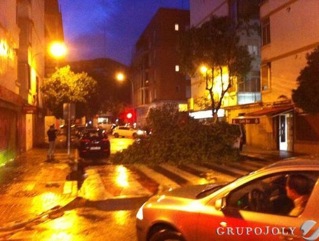 Las fuertes lluvias han provocado la ca&iacute;da de ramas de &aacute;rboles en el barrio de El Plantinar. 

Foto: Mar&iacute;a Jos&eacute; V&aacute;zquez