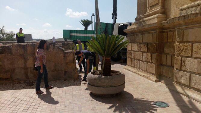 Operarios del Ayuntamiento colocan un macetero junto a la Puerta del Puente.