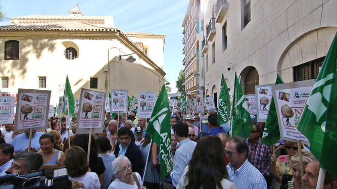 Concentración convocada por Asaja ayer, frente a la Delegación de la Junta en Córdoba.