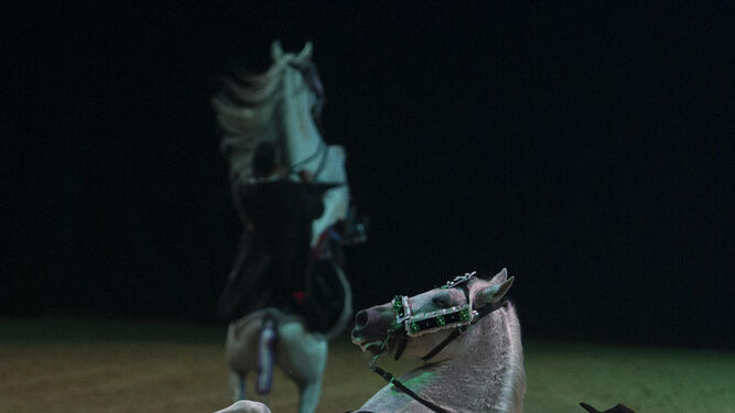 Todas las noches hay un espectáculo donde el caballo es protagonista.