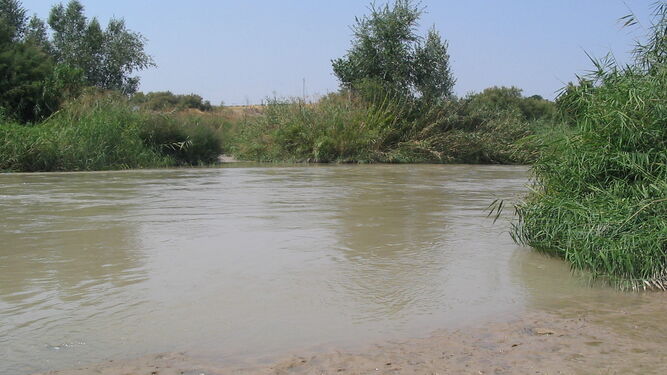Río Genil a su paso por la aldea de El Ingeniero, zona en la que irá la nueva presa.