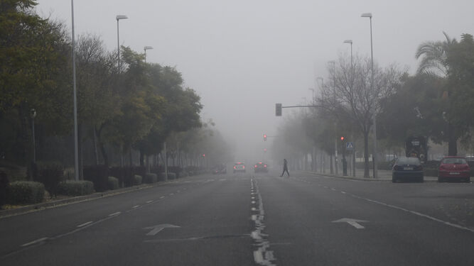 La niebla causó problemas de visibilidad durante toda la mañana de ayer.