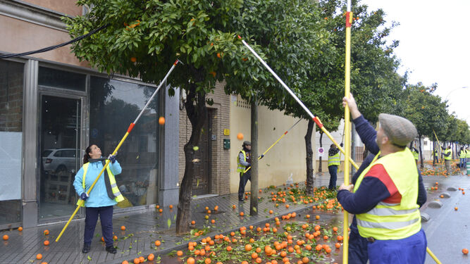 Trabajadores de la recogida de la naranja, ayer en una de las calles del barrio de Cañero.