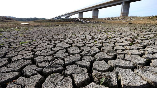 La sequía se ha hecho notar en numerosos territorios de España.