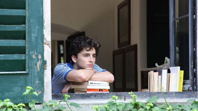 Timoth&eacute;e Chalamet  (Call Me by Your Name)