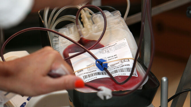 Una bolsa de sangre, durante una donación.