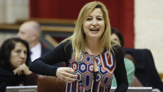 Carmen Lizárraga, en el Parlamento.