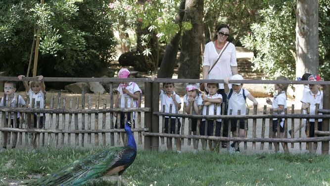 El Zoológico organiza una ecoescuela durante la Semana Santa