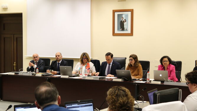 Un momento de la sesión del consejo de gobierno de la UCO celebrada en el Rectorado.