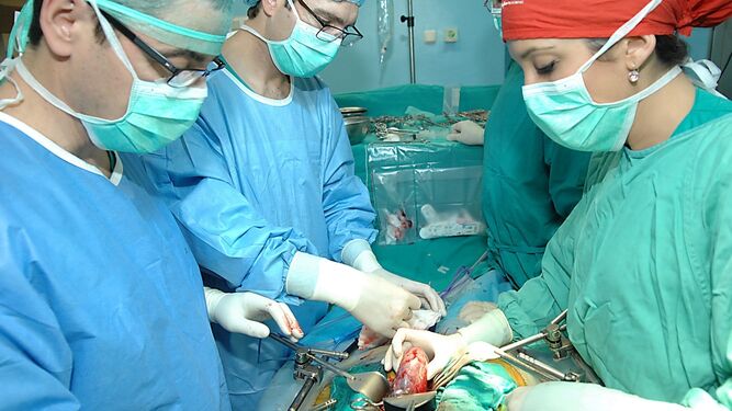 Un equipo médico realiza un trasplante  renal.