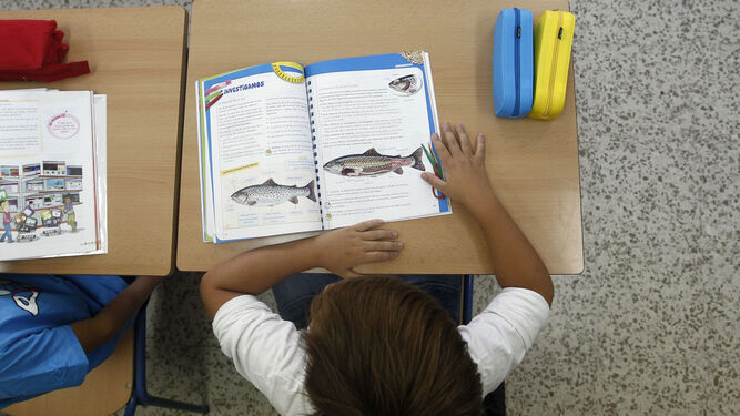 Un alumno de Primaria sigue las explicaciones de un libro en una clase.
