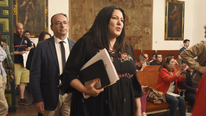 Dolores Amo, en el Pleno del pasado viernes en la Diputación.