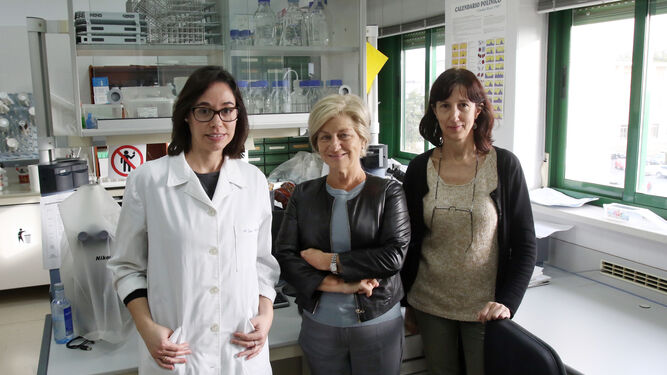 Carmen Galán -en el centro-, junto a investigadoras de la UCO.