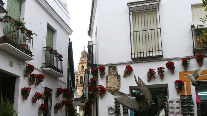 La calle de las Flores, en el casco histórico.