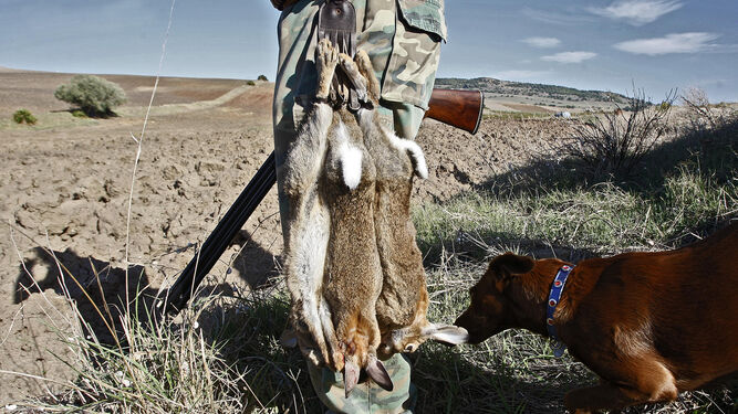 Un cazador, con las piezas de conejos cobradas en una jornada.