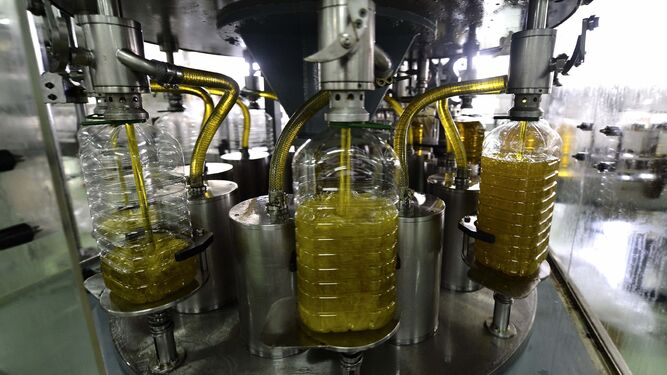 Proceso de llenado de botellas de aceite en una almazara.