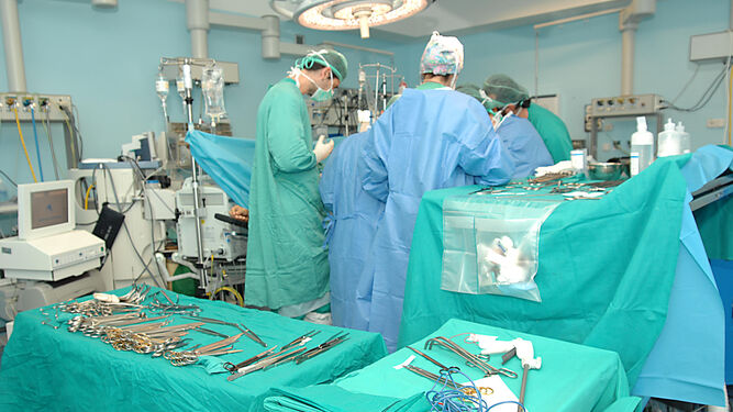 Una operación de trasplante realizada en el complejo sanitario Reina Sofía de Córdoba.