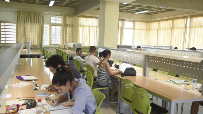 Estudiantes en la biblioteca de la Facultad de Medicina.
