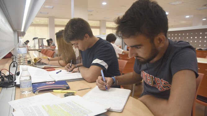 Varios jóvenes, concentrados en sus estudios.