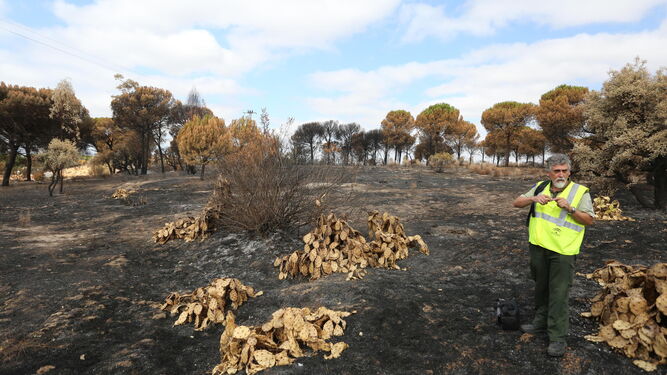 La Brigada de Investigación de Incendios de Huelva